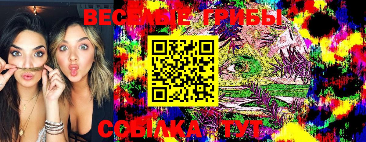 Галлюциногенные грибы мицелий  Псилоцибиновые грибы Magic Shrooms  Вход с VPN  Сергиев Посад 