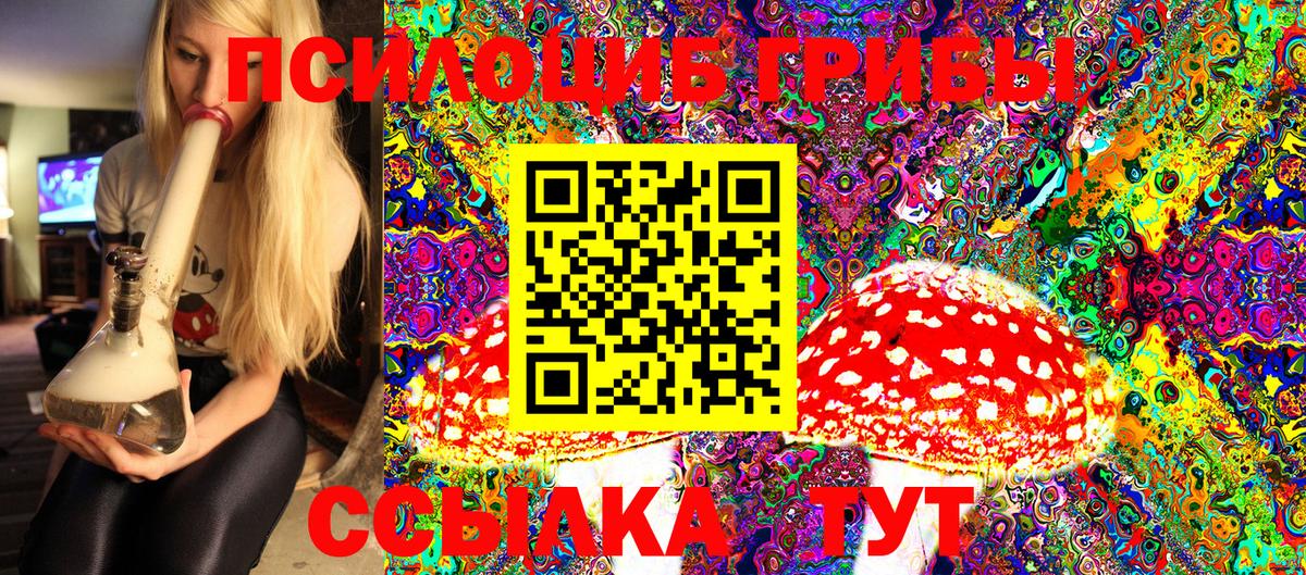 Галлюциногенные грибы Psilocybine cubensis Сергиев Посад
